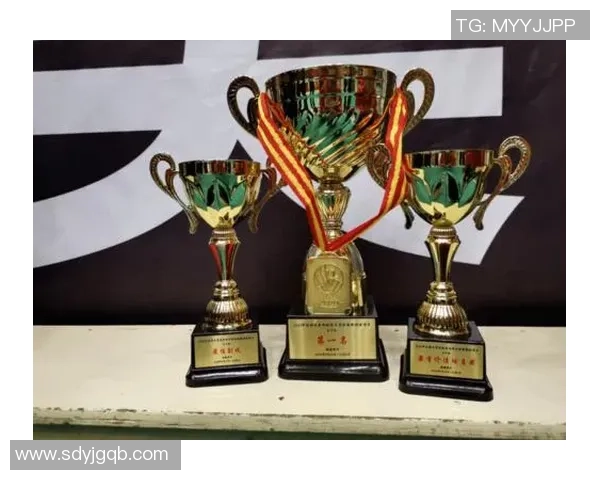 杭州排球队在全国排球节奏排行榜中荣登第九名展现出强劲实力与团队精神